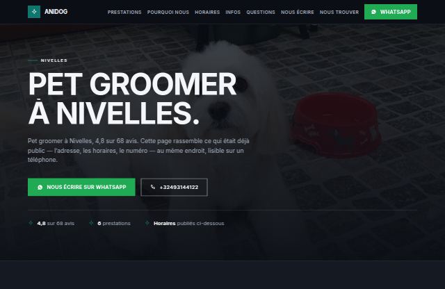 Page d’accueil du site de Anidog